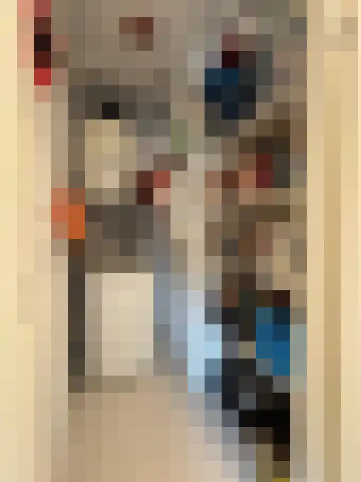 Dokter Aletta Jacobsstraat 43 Venlo thumbnail 25
