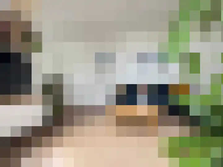 Dokter Aletta Jacobsstraat 43 Venlo thumbnail 7