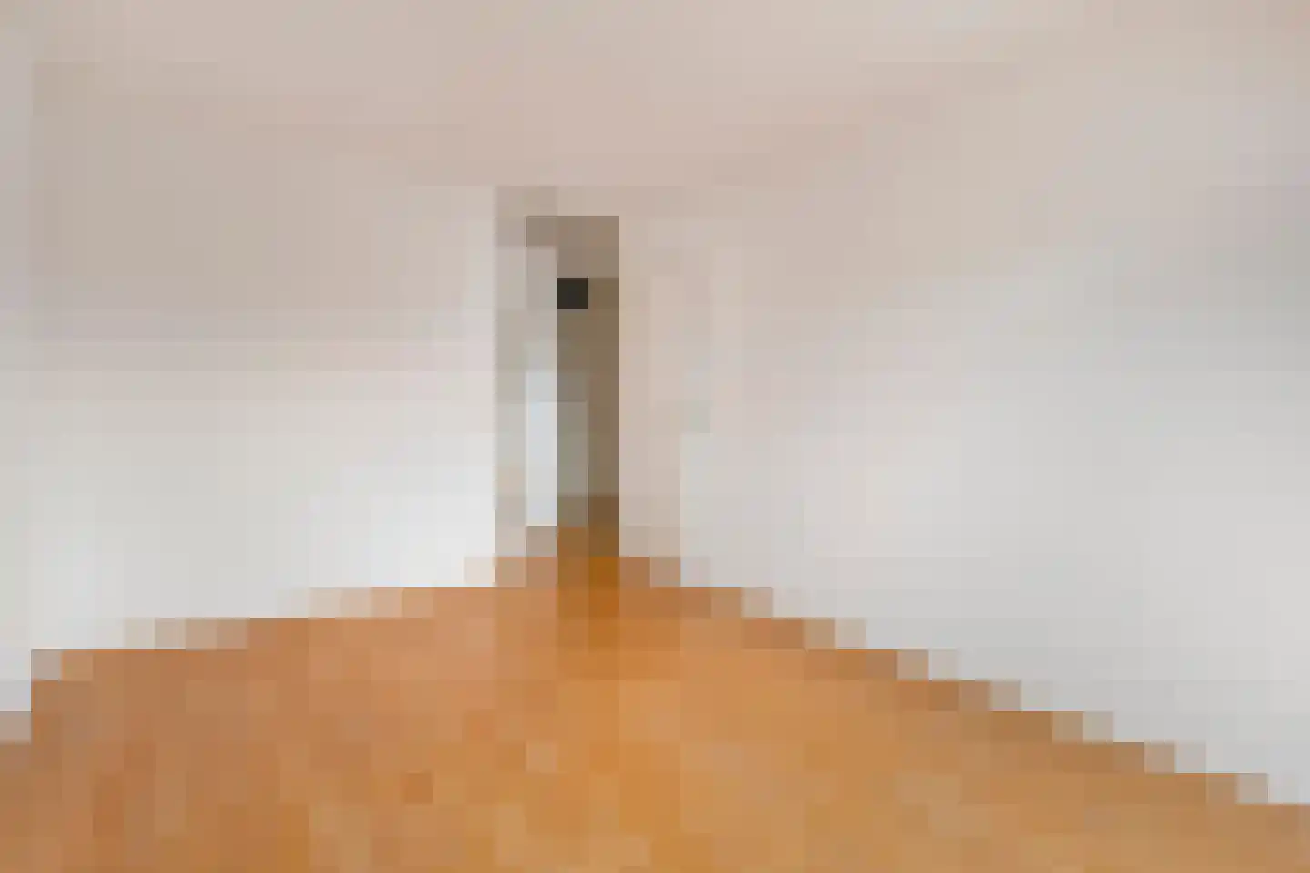 Dokter Aletta Jacobsstraat 45 Venlo thumbnail 16