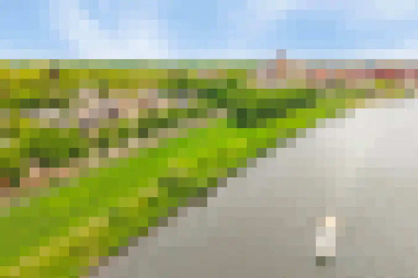 Dokter Aletta Jacobsstraat 45 Venlo thumbnail 26