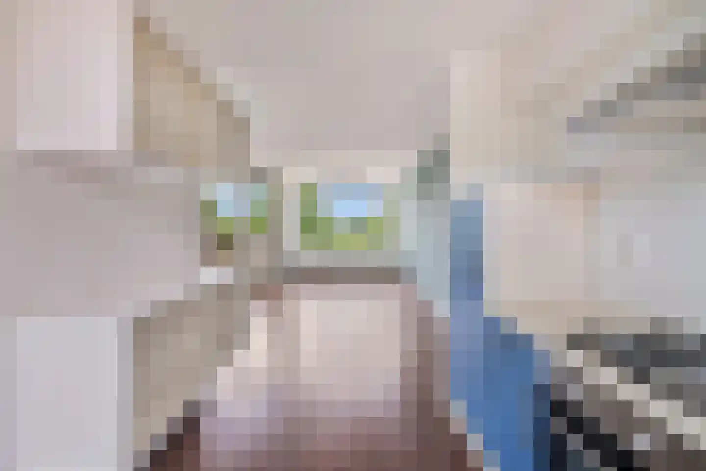 Dokter Aletta Jacobsstraat 45 Venlo thumbnail 8