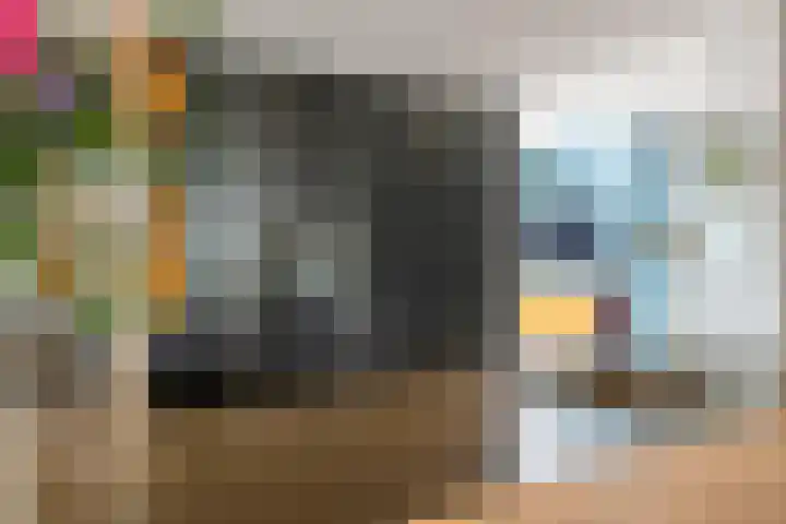 Dokter Asjeslaan 23 Tiel thumbnail 11