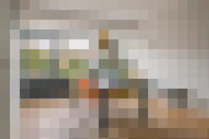 Dokter Asjeslaan 23 Tiel thumbnail 12