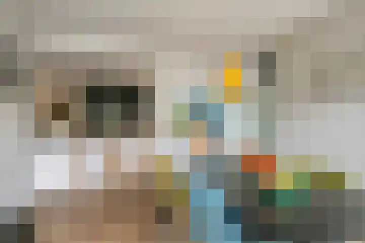 Dokter Asjeslaan 23 Tiel thumbnail 15
