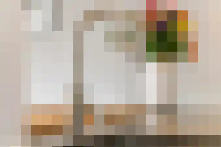 Dokter Asjeslaan 23 Tiel thumbnail 16