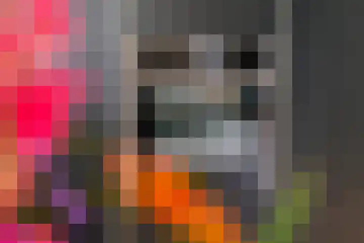 Dokter Asjeslaan 23 Tiel thumbnail 18