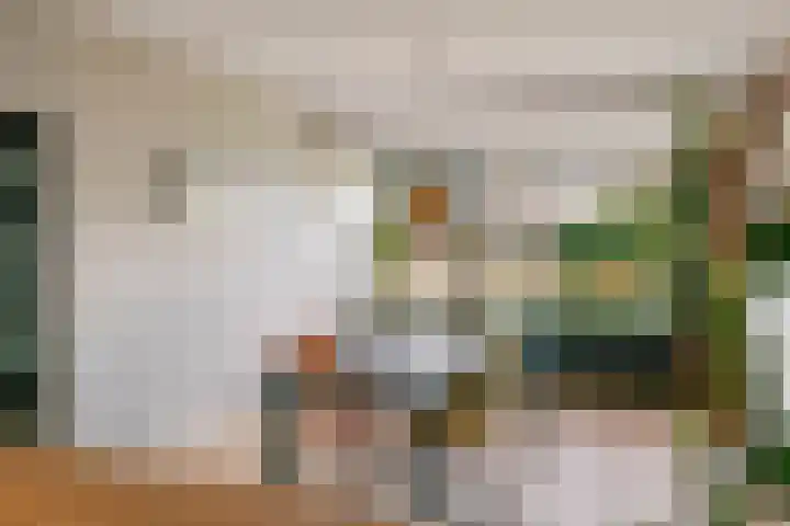 Dokter Asjeslaan 23 Tiel thumbnail 19