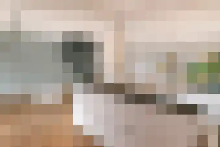 Dokter Asjeslaan 23 Tiel thumbnail 20