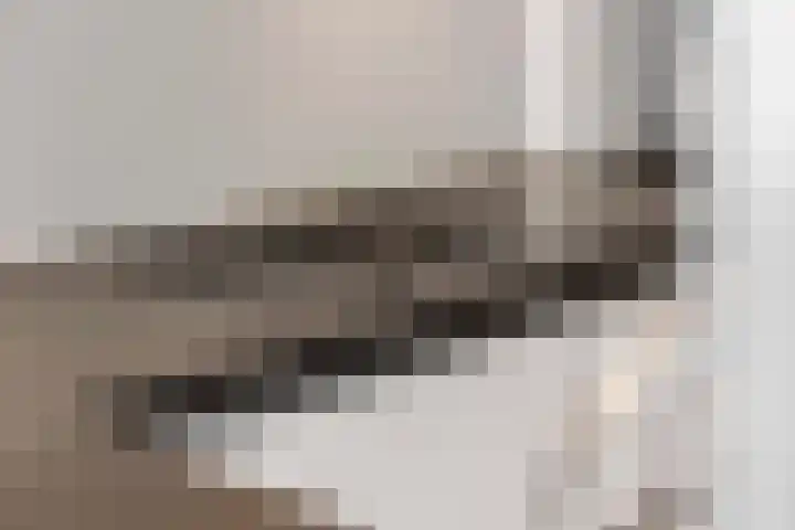 Dokter Asjeslaan 23 Tiel thumbnail 21