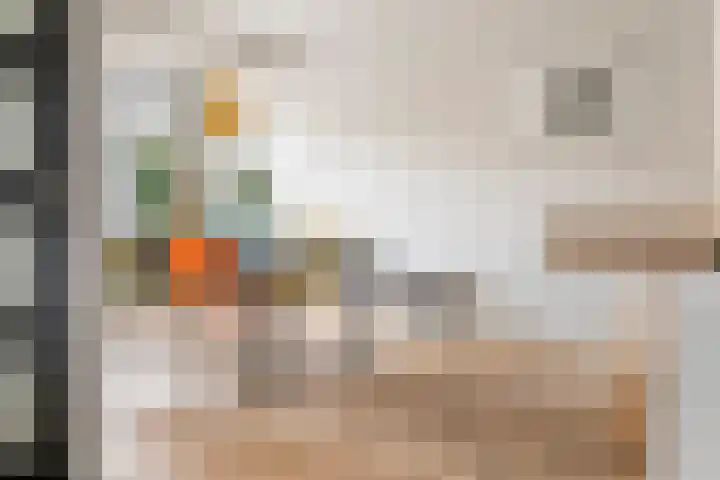 Dokter Asjeslaan 23 Tiel thumbnail 23