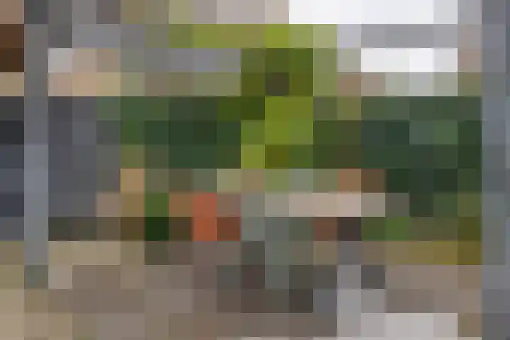 Dokter Asjeslaan 23 Tiel thumbnail 26