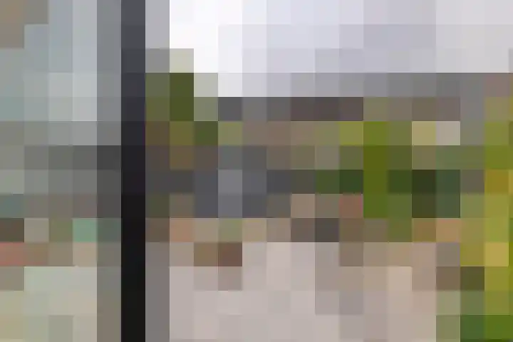 Dokter Asjeslaan 23 Tiel thumbnail 27