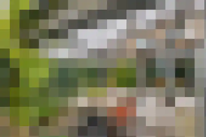Dokter Asjeslaan 23 Tiel thumbnail 28