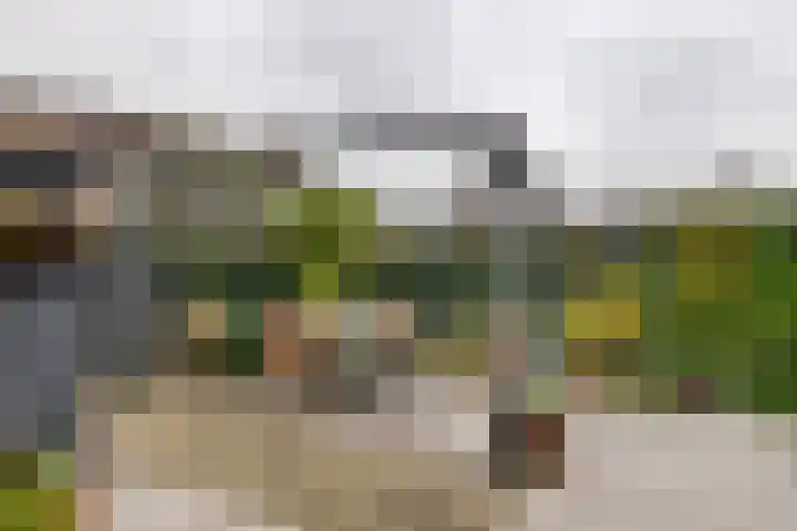 Dokter Asjeslaan 23 Tiel thumbnail 29