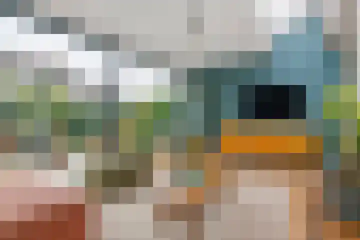 Dokter Asjeslaan 23 Tiel foto 3