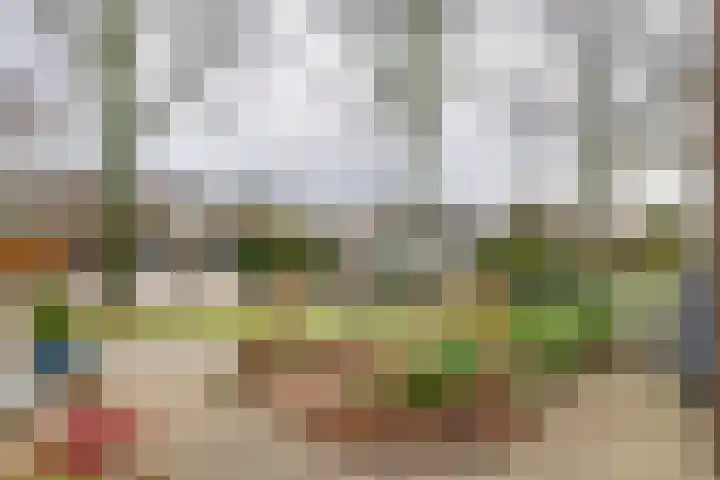 Dokter Asjeslaan 23 Tiel thumbnail 31