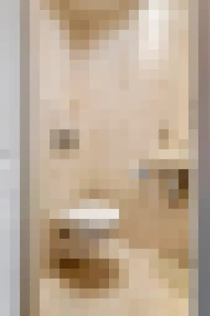 Dokter Asjeslaan 23 Tiel thumbnail 34