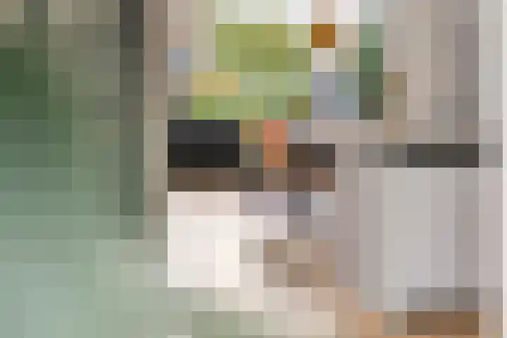 Dokter Asjeslaan 23 Tiel thumbnail 36