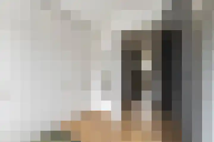 Dokter Asjeslaan 23 Tiel thumbnail 38