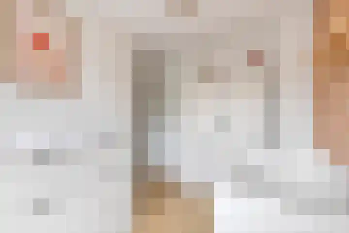 Dokter Asjeslaan 23 Tiel thumbnail 40