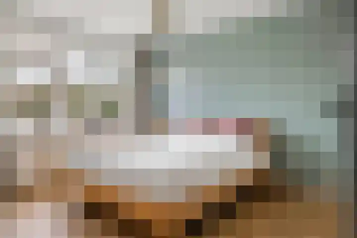 Dokter Asjeslaan 23 Tiel thumbnail 41