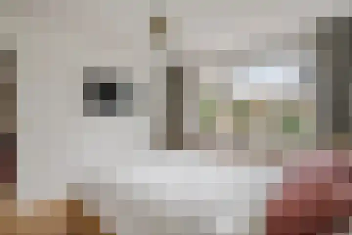 Dokter Asjeslaan 23 Tiel thumbnail 42