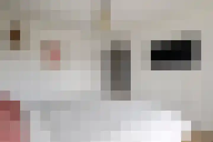 Dokter Asjeslaan 23 Tiel thumbnail 43