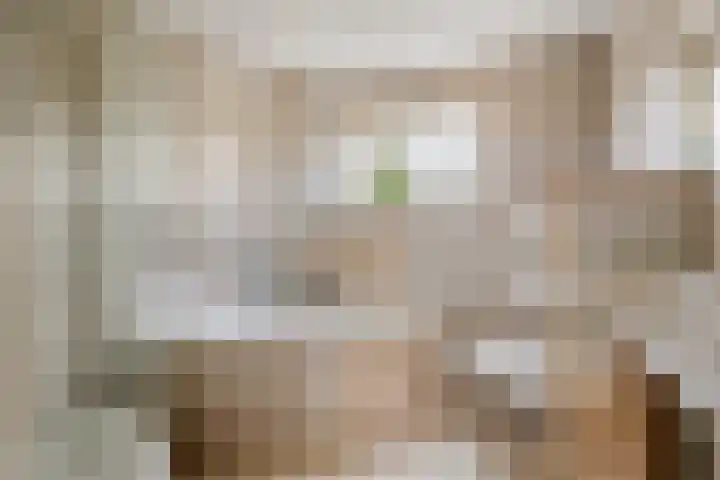 Dokter Asjeslaan 23 Tiel thumbnail 45