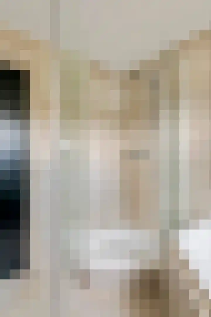 Dokter Asjeslaan 23 Tiel thumbnail 47