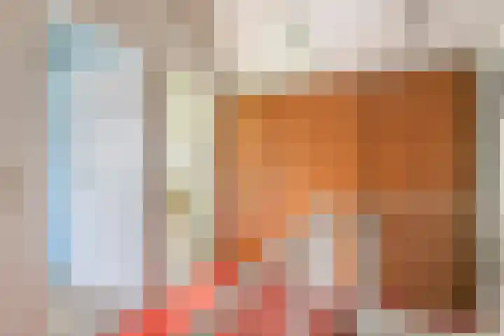 Dokter Asjeslaan 23 Tiel thumbnail 49