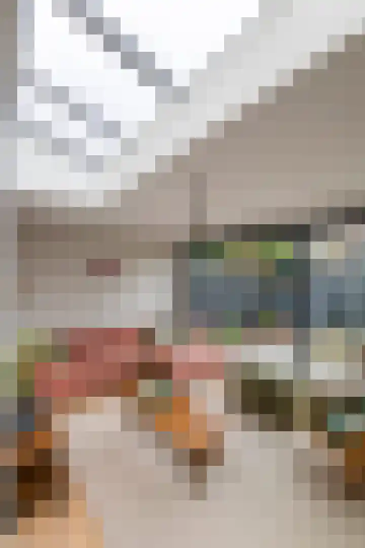 Dokter Asjeslaan 23 Tiel thumbnail 5