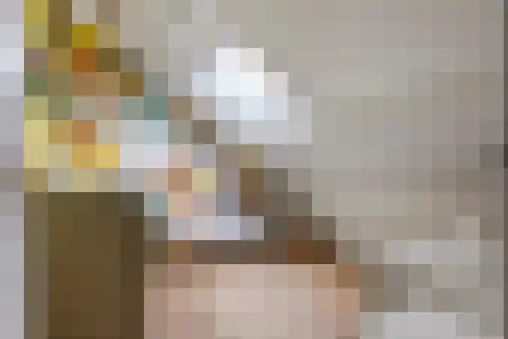 Dokter Asjeslaan 23 Tiel thumbnail 50
