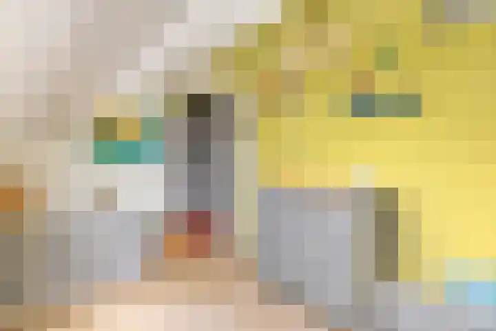 Dokter Asjeslaan 23 Tiel thumbnail 51