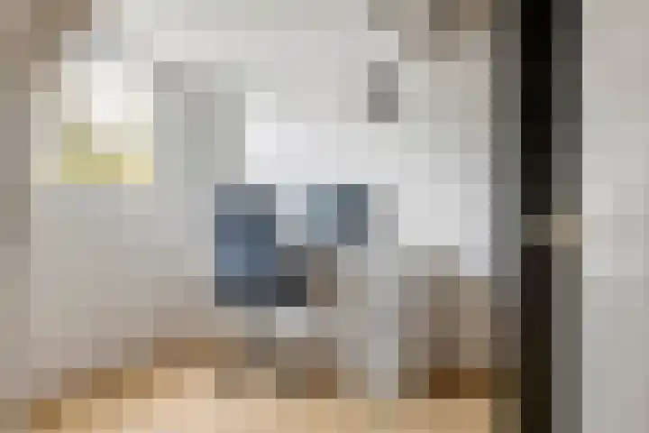 Dokter Asjeslaan 23 Tiel thumbnail 52