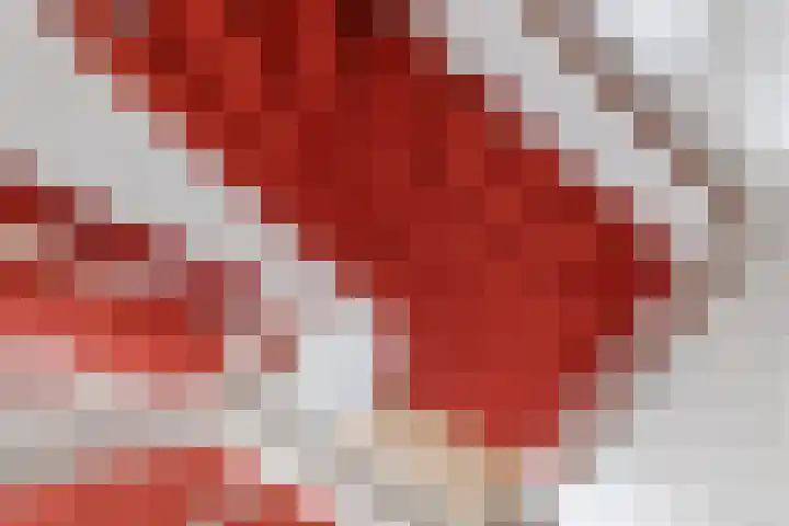 Dokter Asjeslaan 23 Tiel thumbnail 54