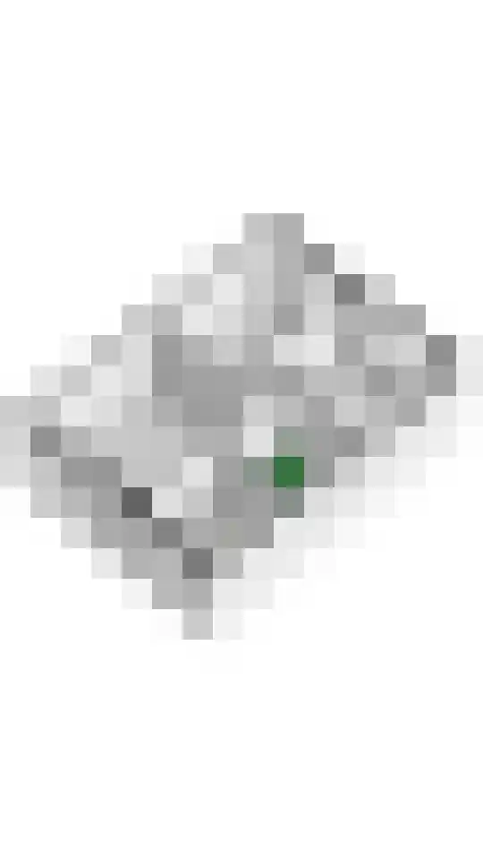 Dokter Asjeslaan 23 Tiel thumbnail 60