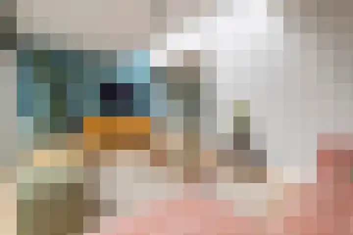 Dokter Asjeslaan 23 Tiel thumbnail 8