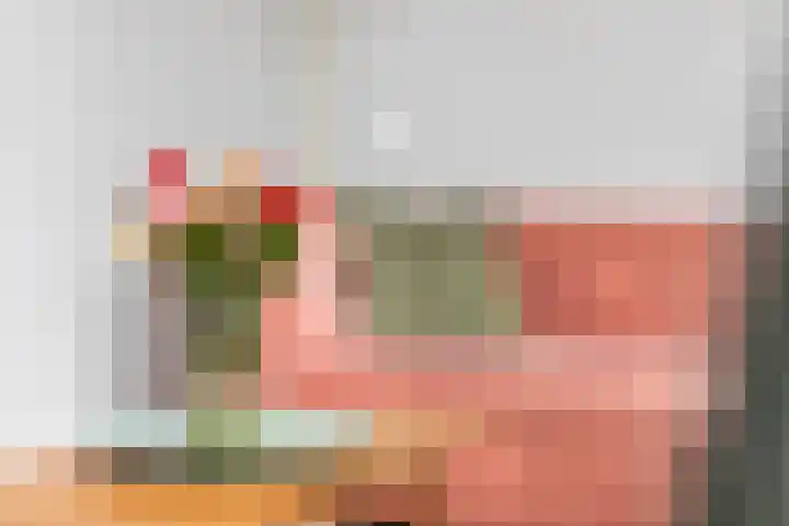 Dokter Asjeslaan 23 Tiel thumbnail 9