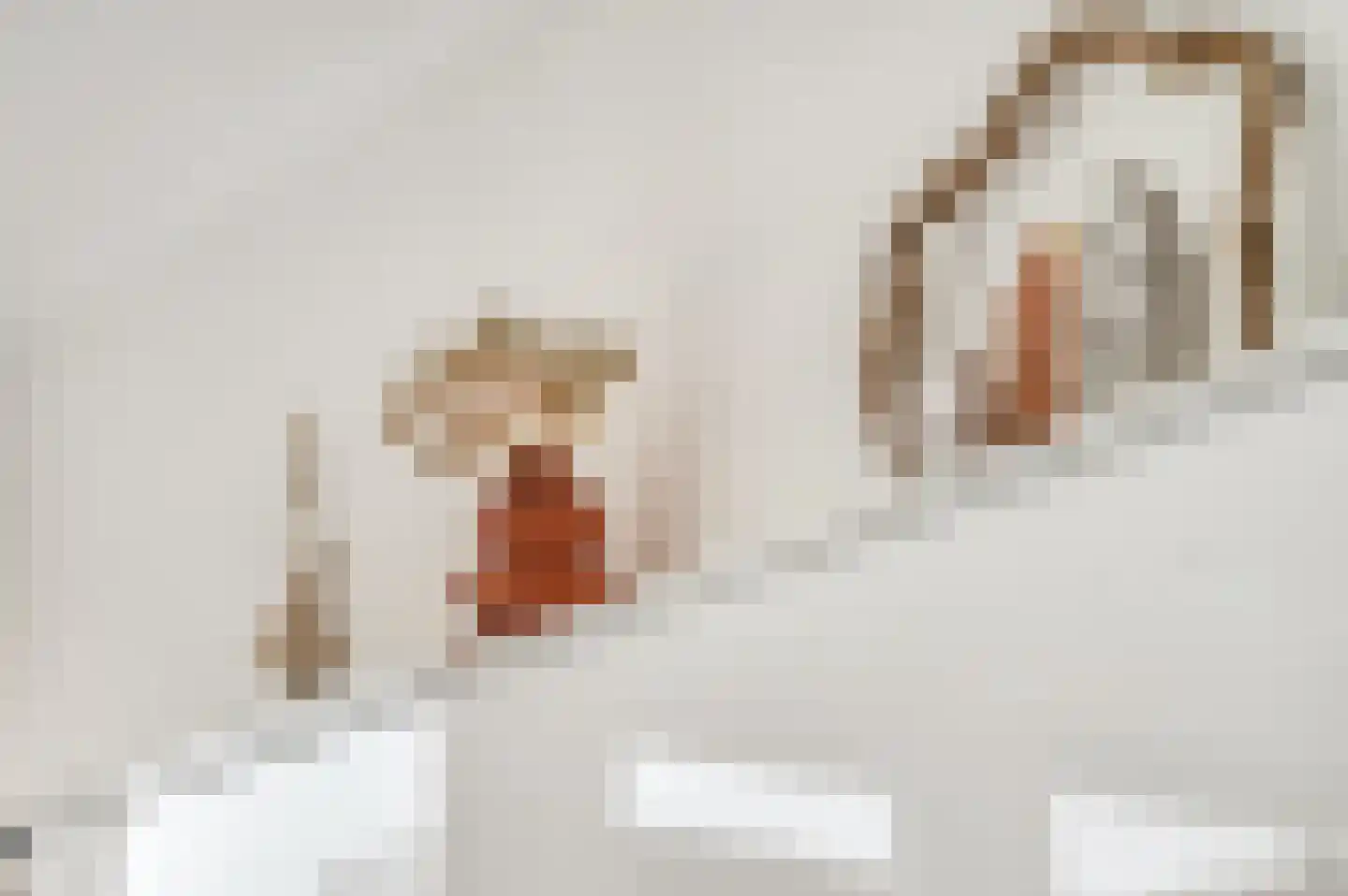 Dokter Asjeslaan 47 Tiel thumbnail 10