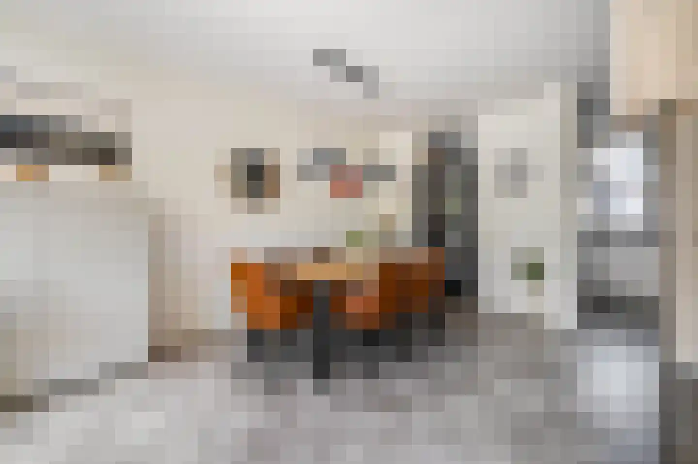 Dokter Asjeslaan 47 Tiel thumbnail 11