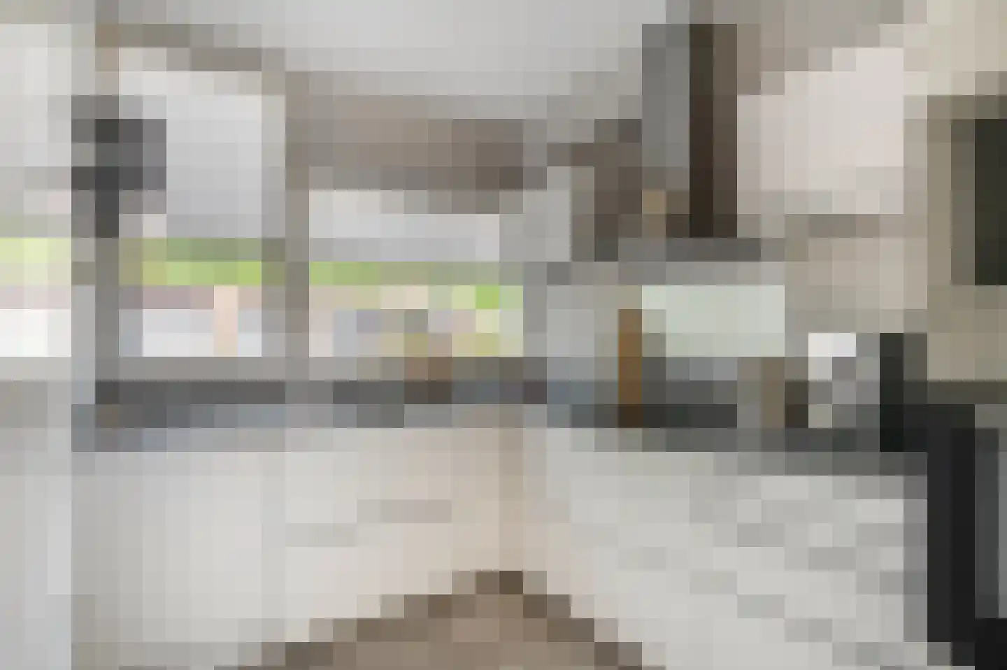 Dokter Asjeslaan 47 Tiel thumbnail 13