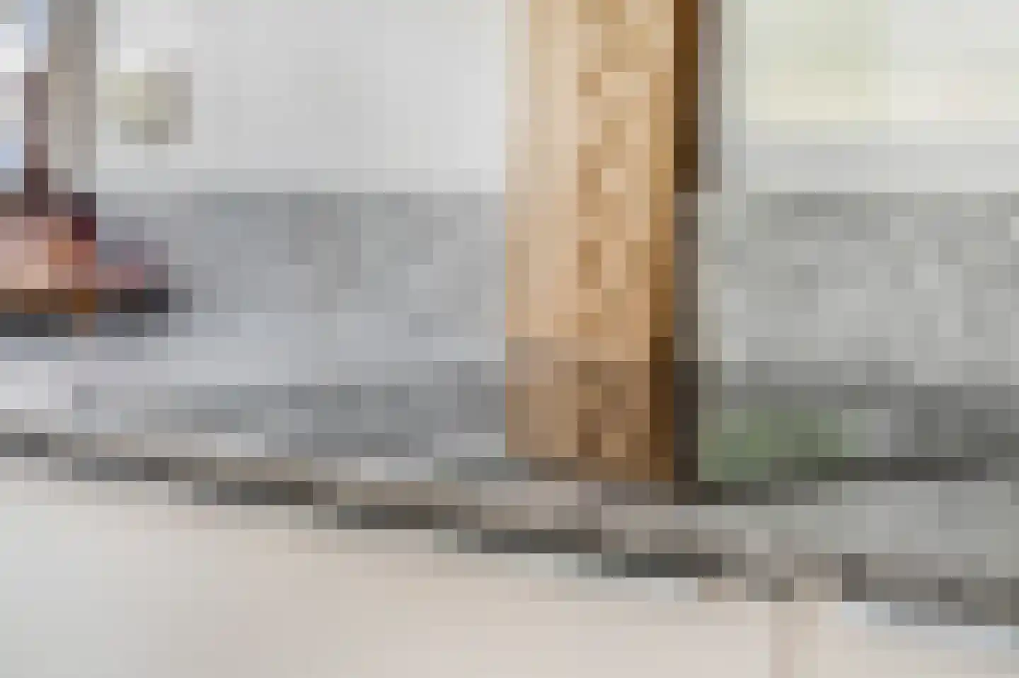 Dokter Asjeslaan 47 Tiel thumbnail 14