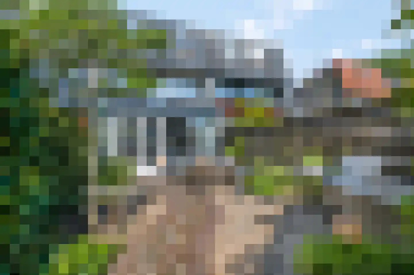 Dokter Asjeslaan 47 Tiel thumbnail 19