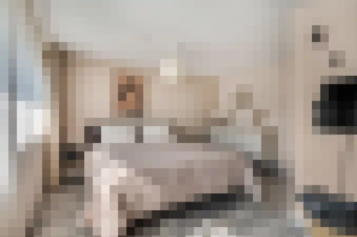 Dokter Asjeslaan 47 Tiel thumbnail 21