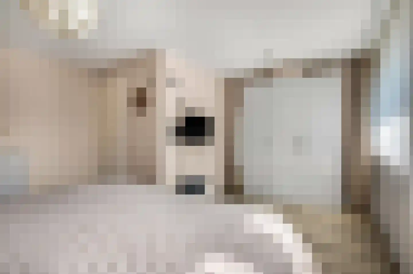 Dokter Asjeslaan 47 Tiel thumbnail 22