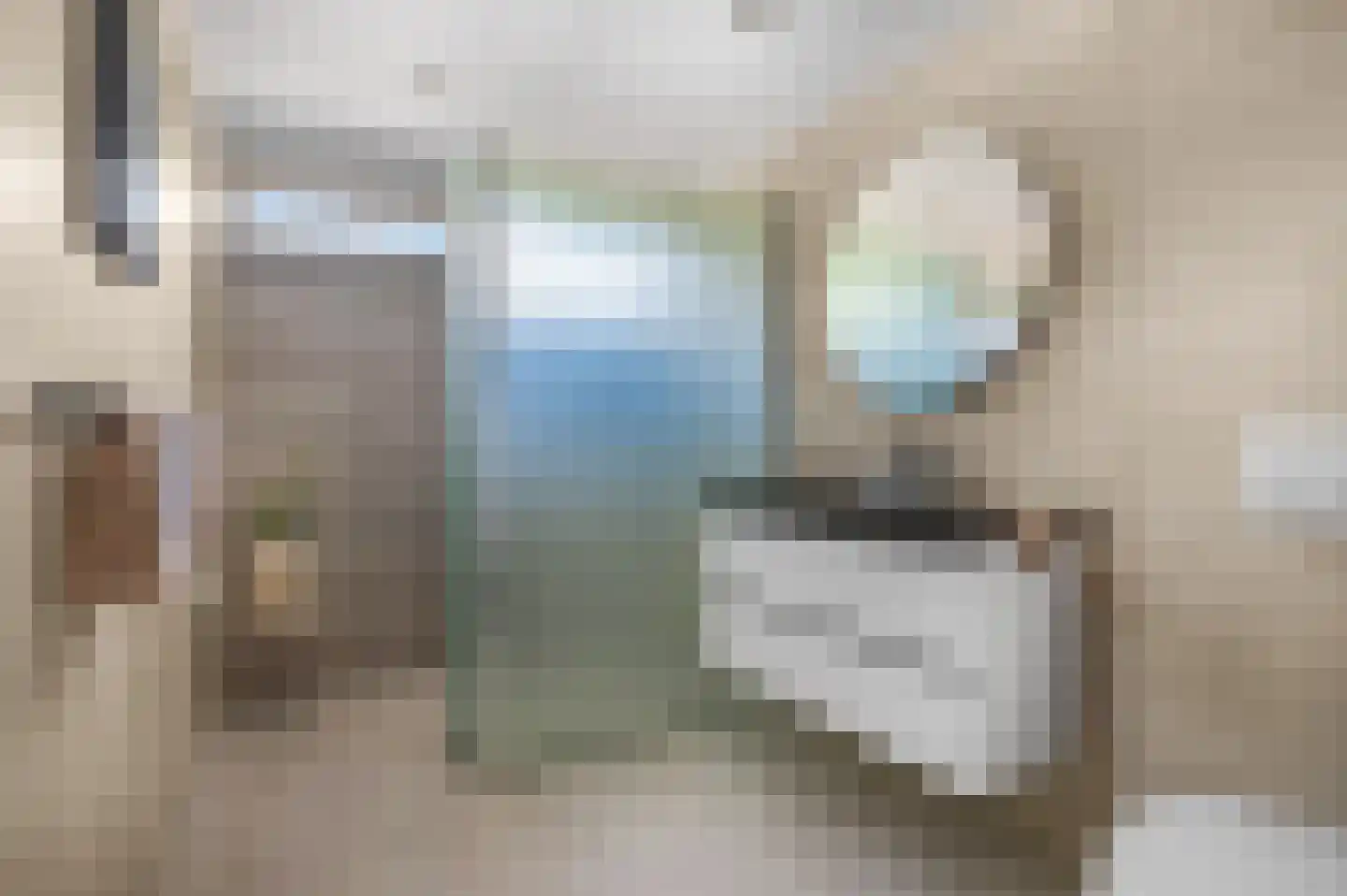 Dokter Asjeslaan 47 Tiel thumbnail 24