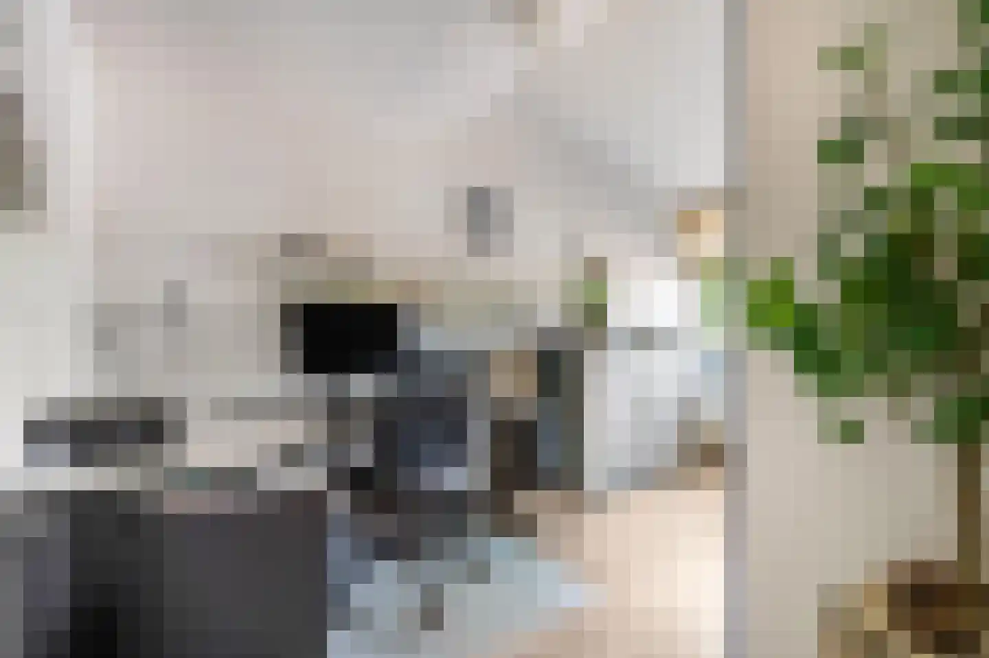 Dokter Asjeslaan 47 Tiel thumbnail 27