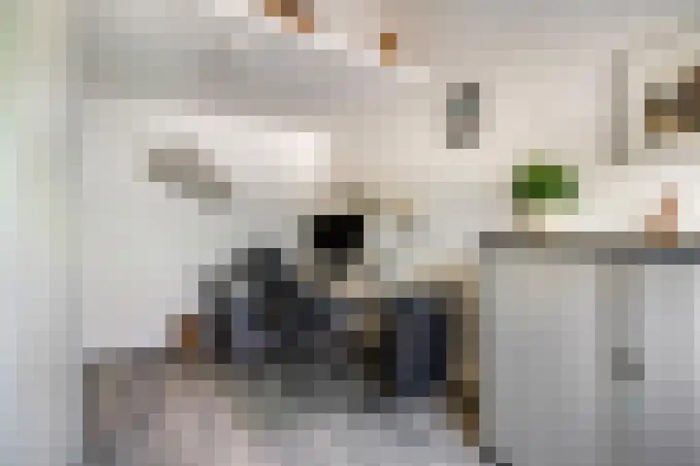 Dokter Asjeslaan 47 Tiel thumbnail 28