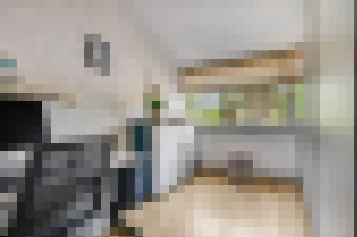Dokter Asjeslaan 47 Tiel thumbnail 29