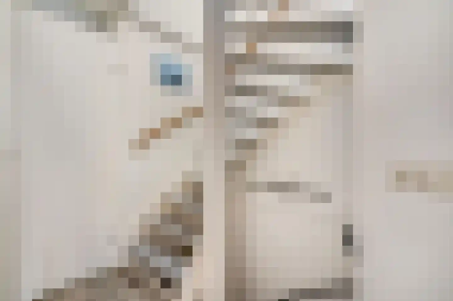 Dokter Asjeslaan 47 Tiel thumbnail 30